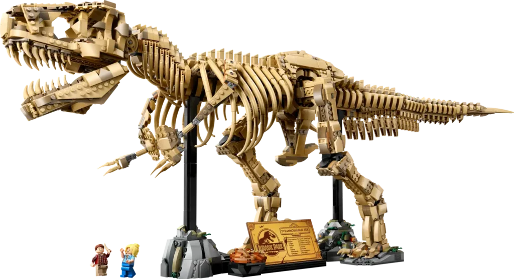 I love Dinosaur Fossils!